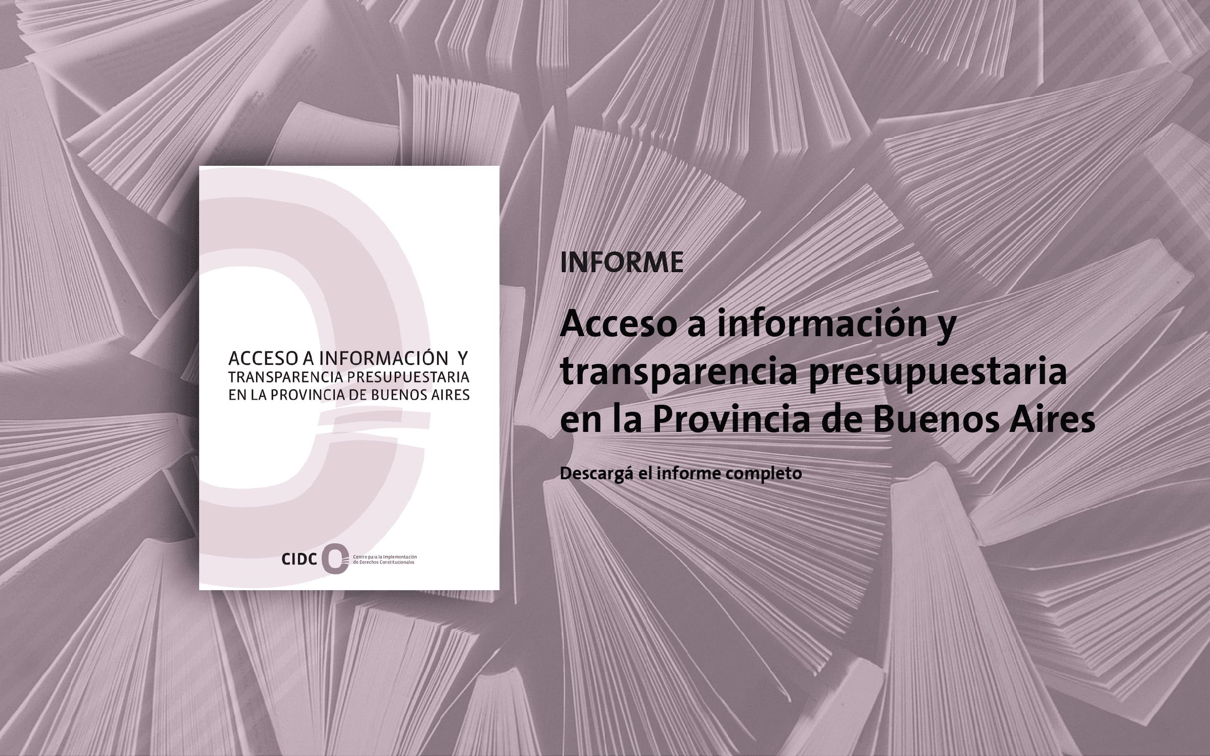 Acceso a la información y transparencia presupuestaria en la Provincia de Buenos Aires